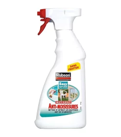 Castorama Anti-moisissures 500ml