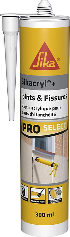 Castorama Mastic Blanc Sika Sikacryl Plus 300 Ml